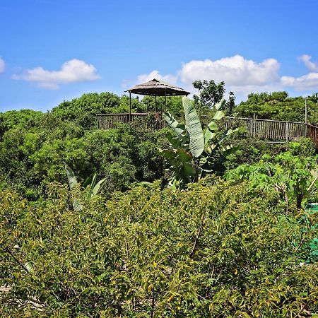 Kosi Bay Lodge Manguzi Dış mekan fotoğraf